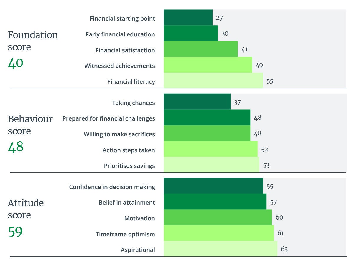 Chart representing the inaugural score of Financial Freedom index